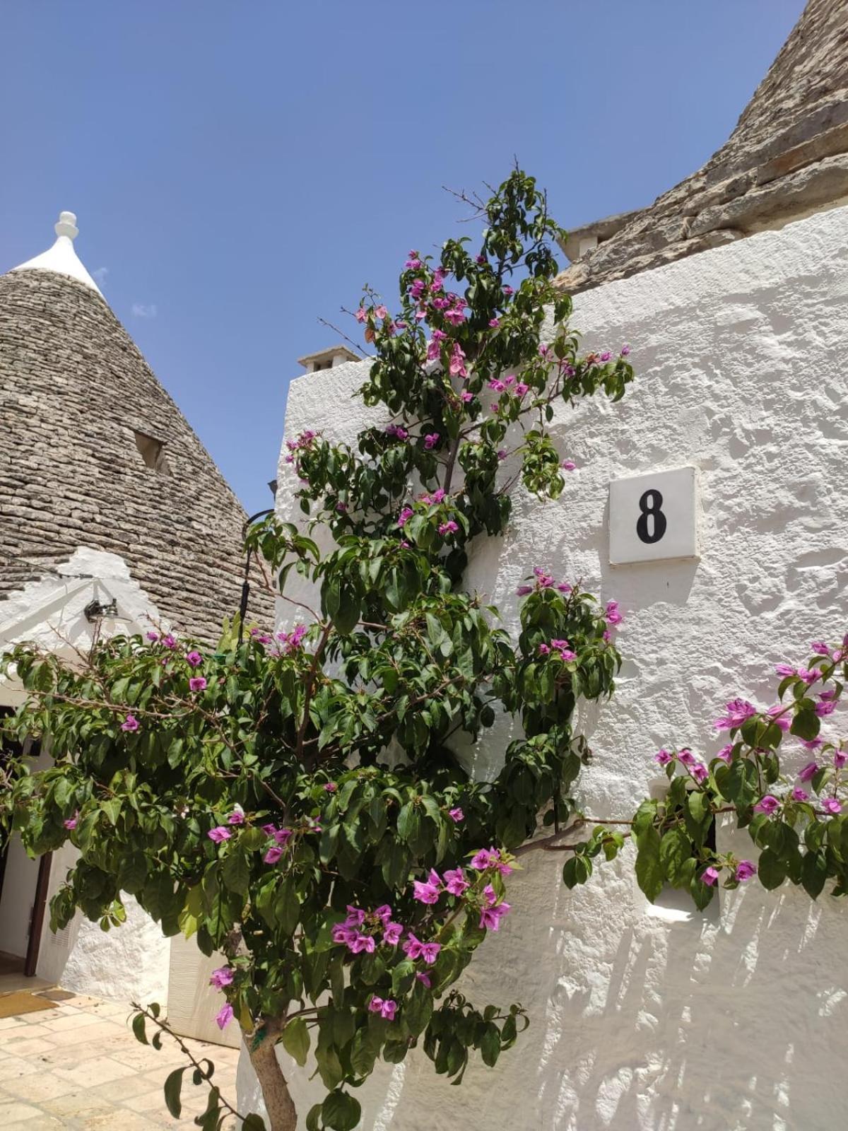 Trullo Al Vicoletto Al Civico 10, Civico 8, Civico 7 Vila Alberobello Exterior foto